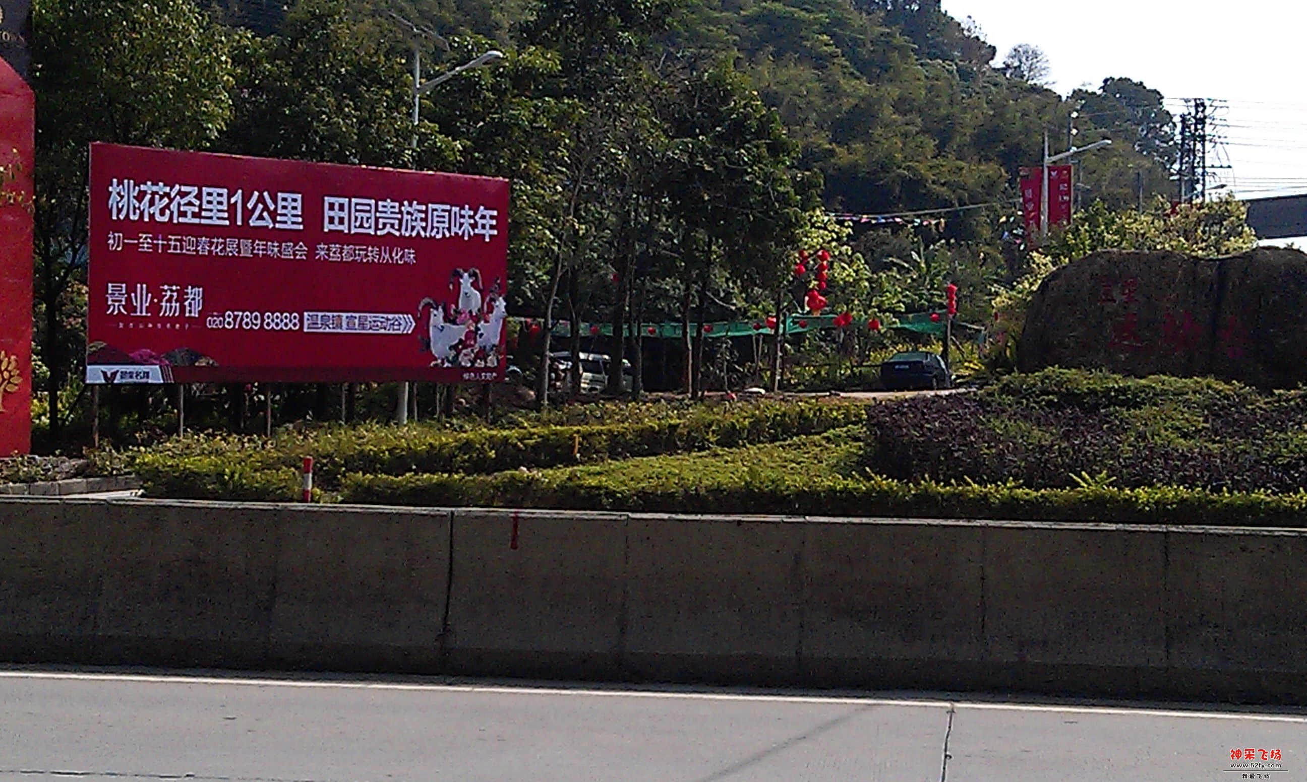 IMAG0073.jpg