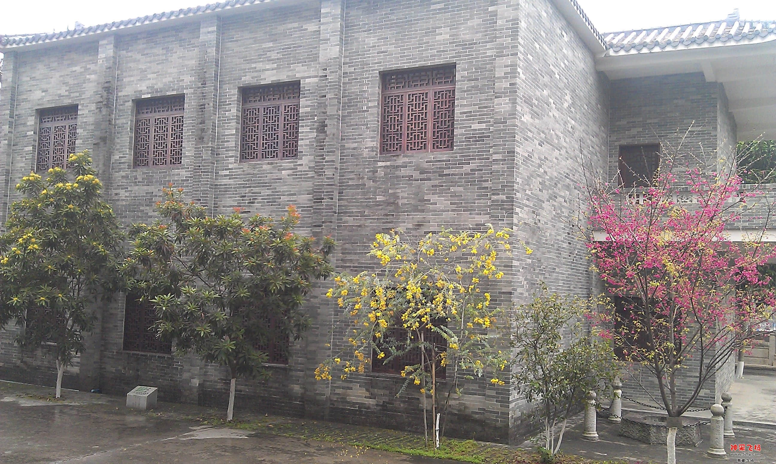 IMAG0103.jpg