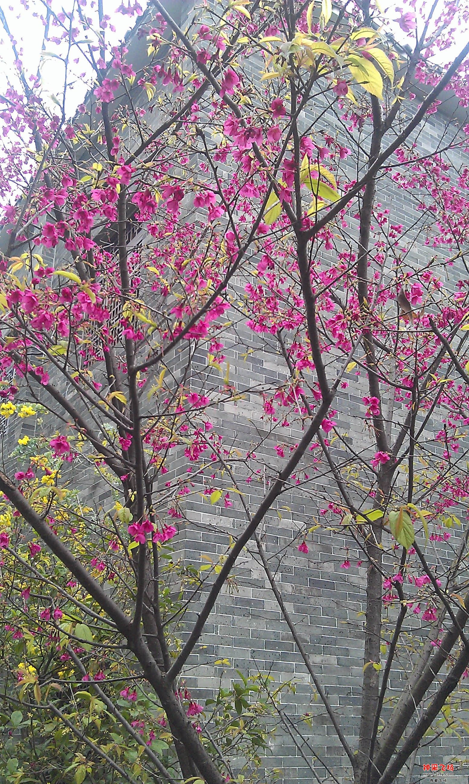 IMAG0104.jpg