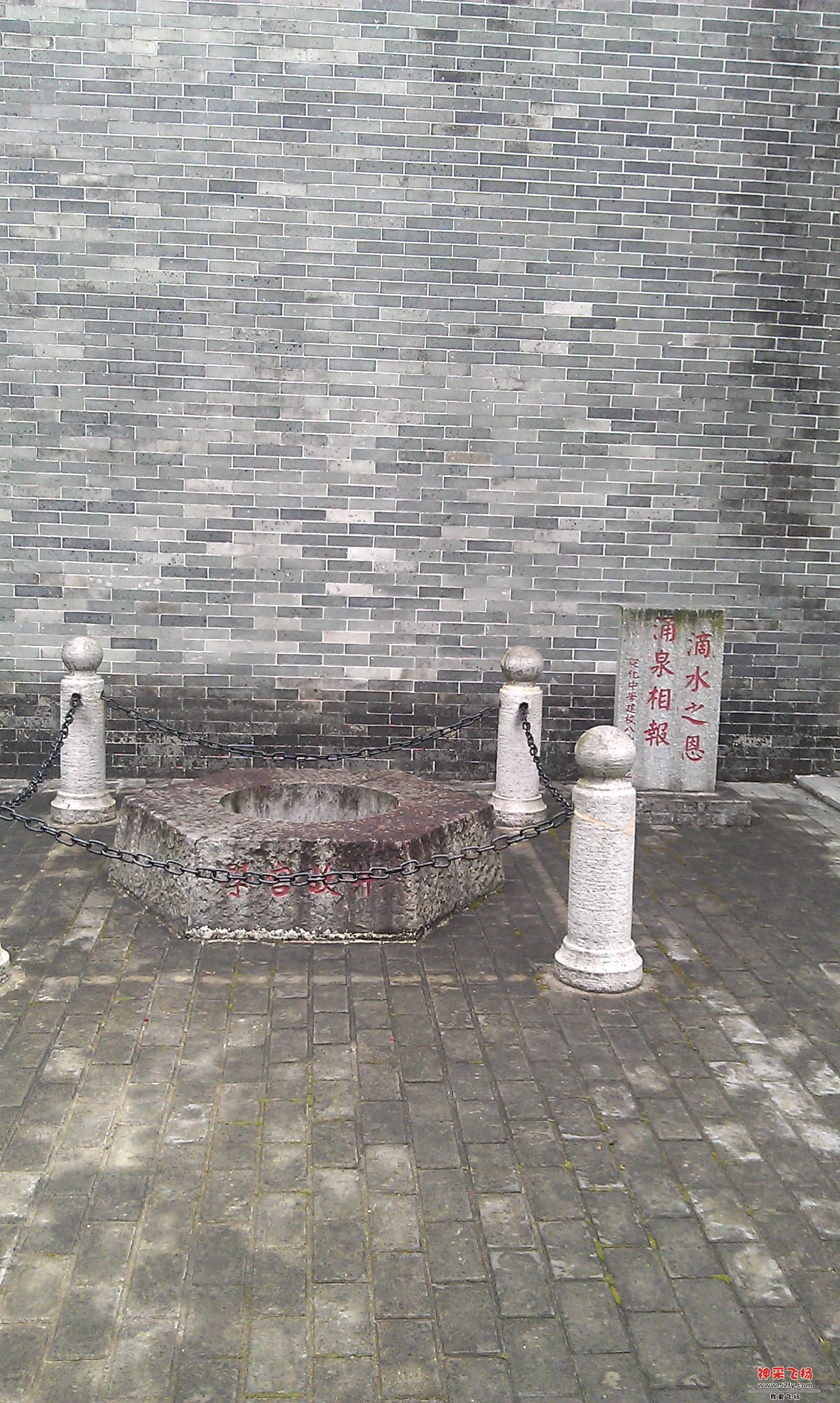 IMAG0105.jpg