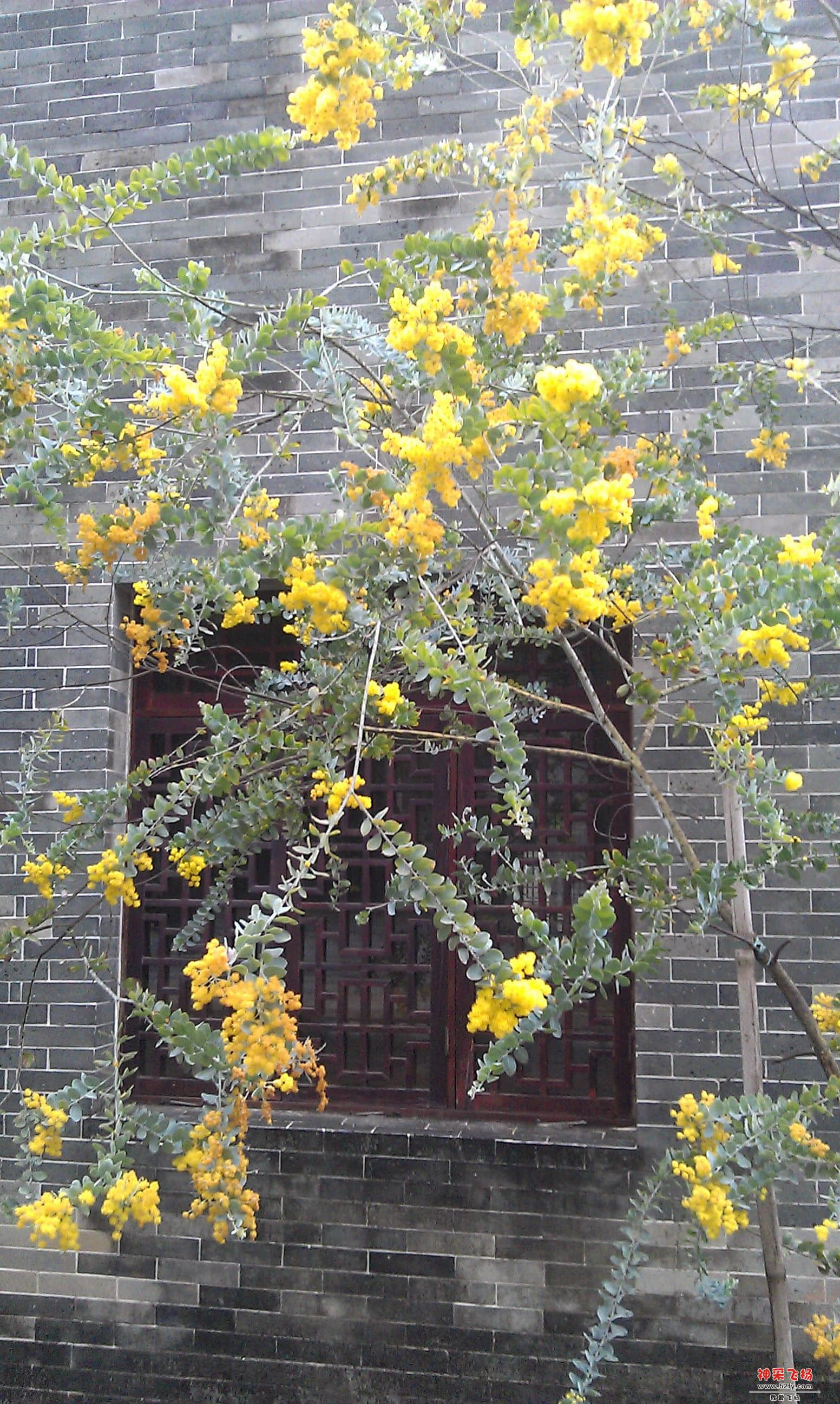 IMAG0107.jpg
