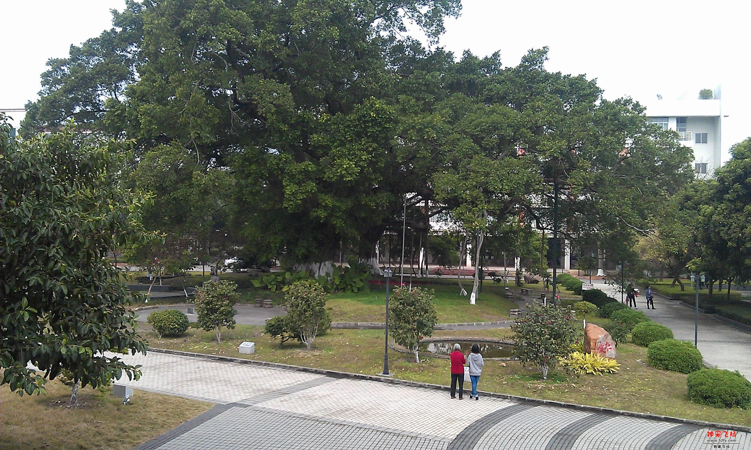 IMAG0141.jpg