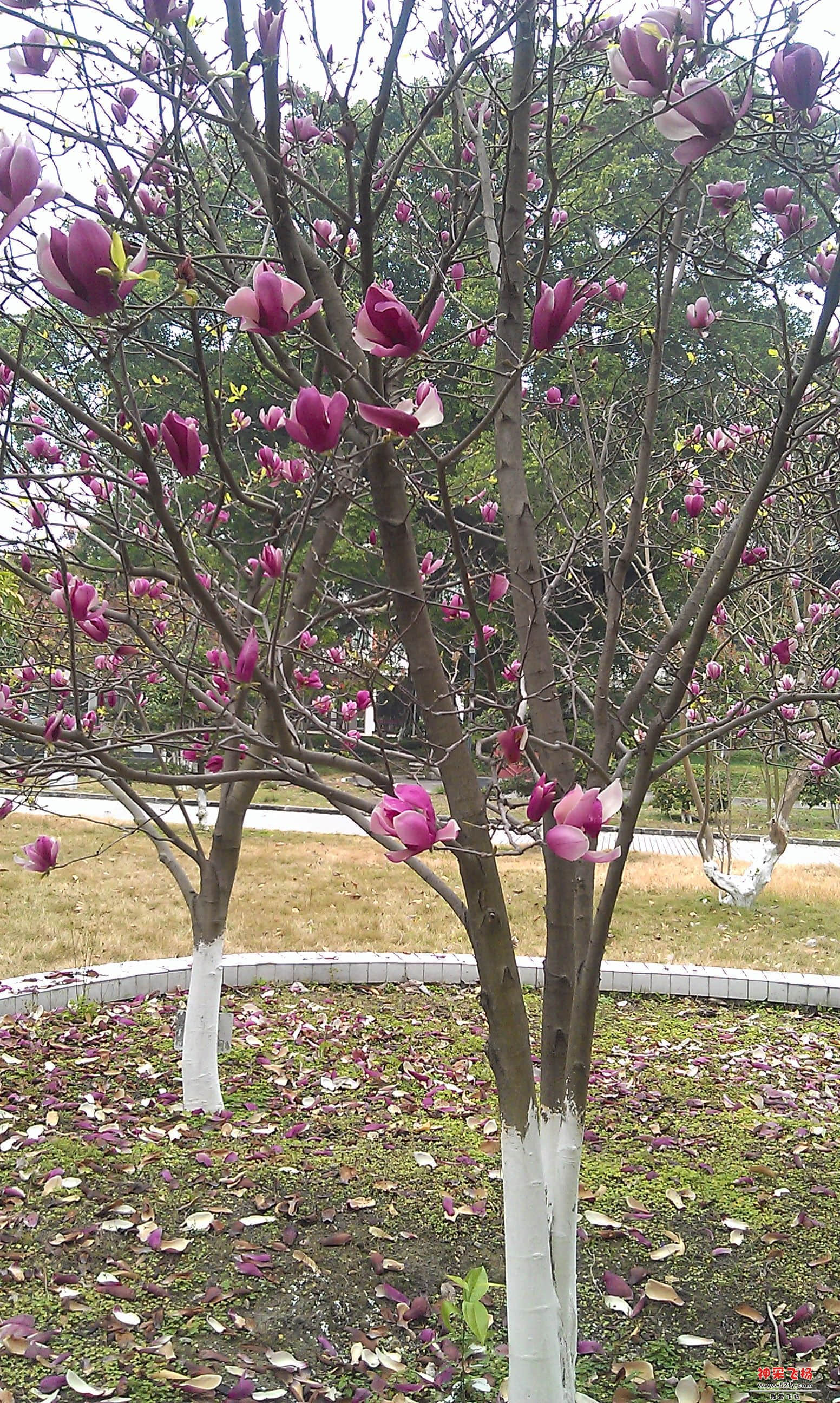 IMAG0144.jpg