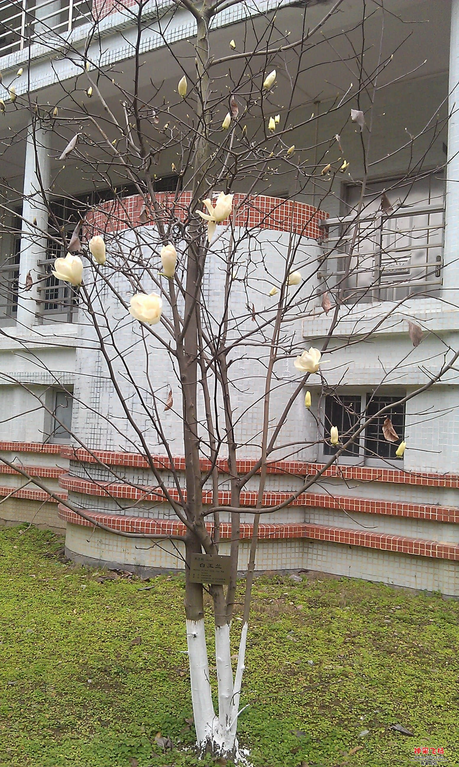 IMAG0146.jpg
