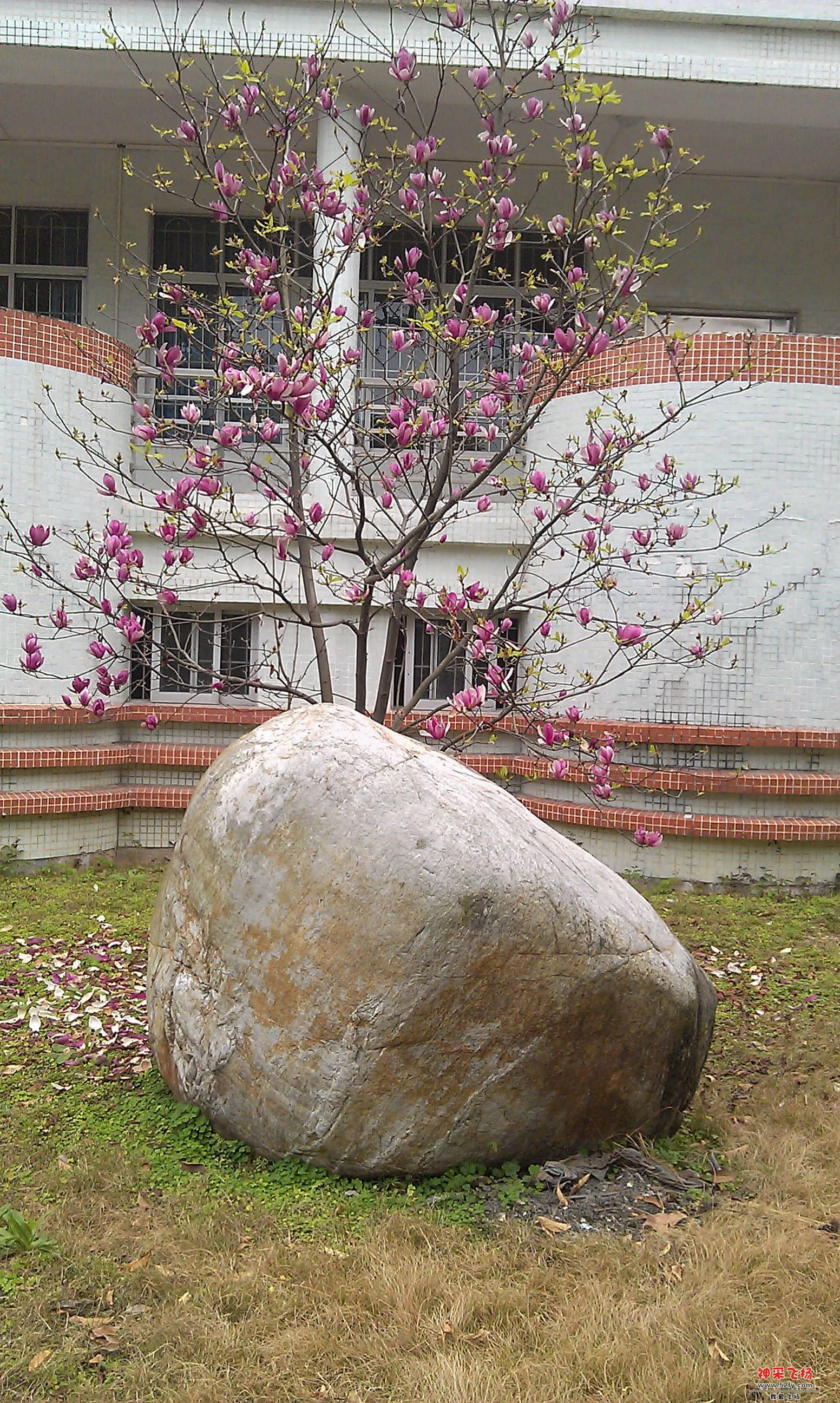 IMAG0148.jpg