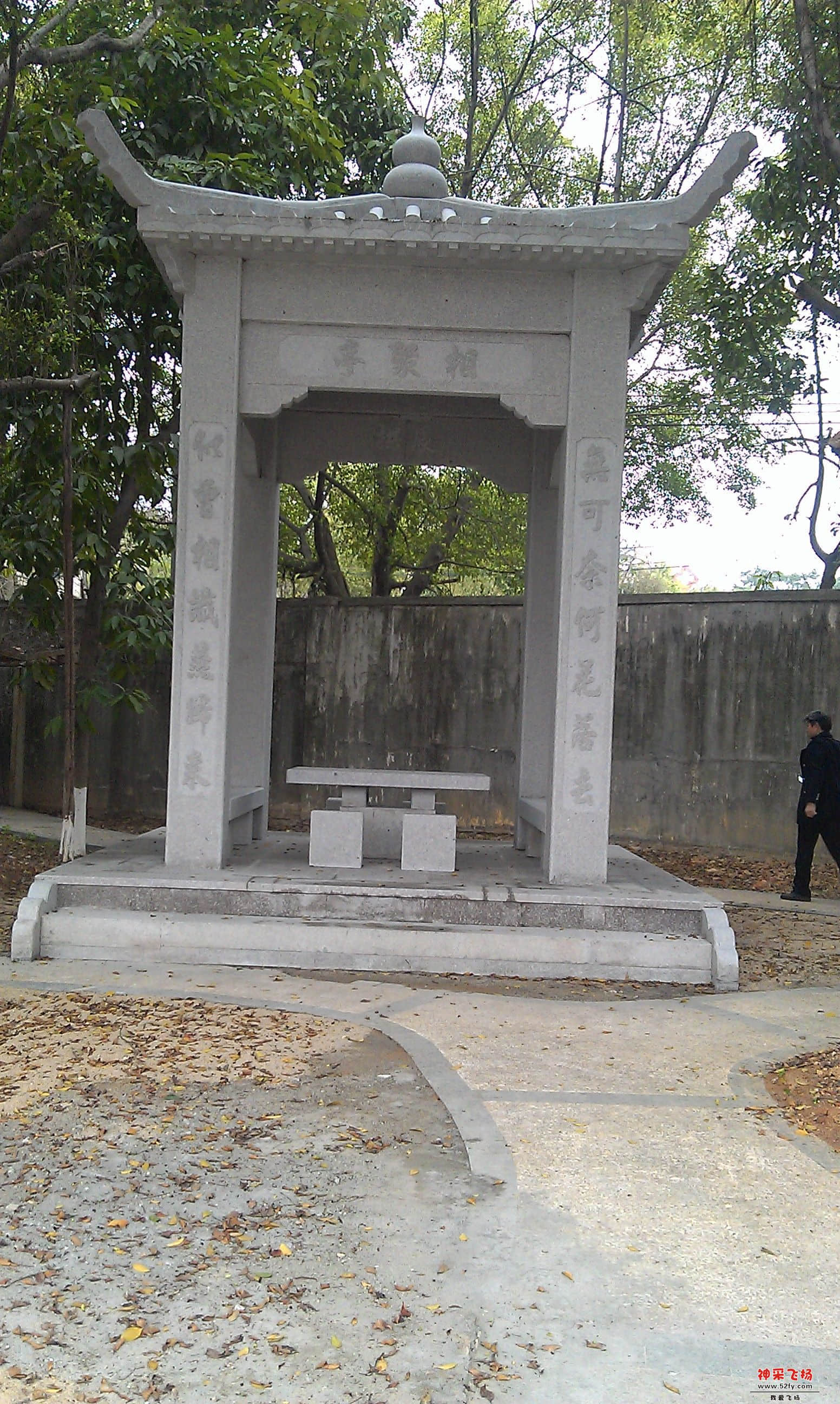 IMAG0156.jpg