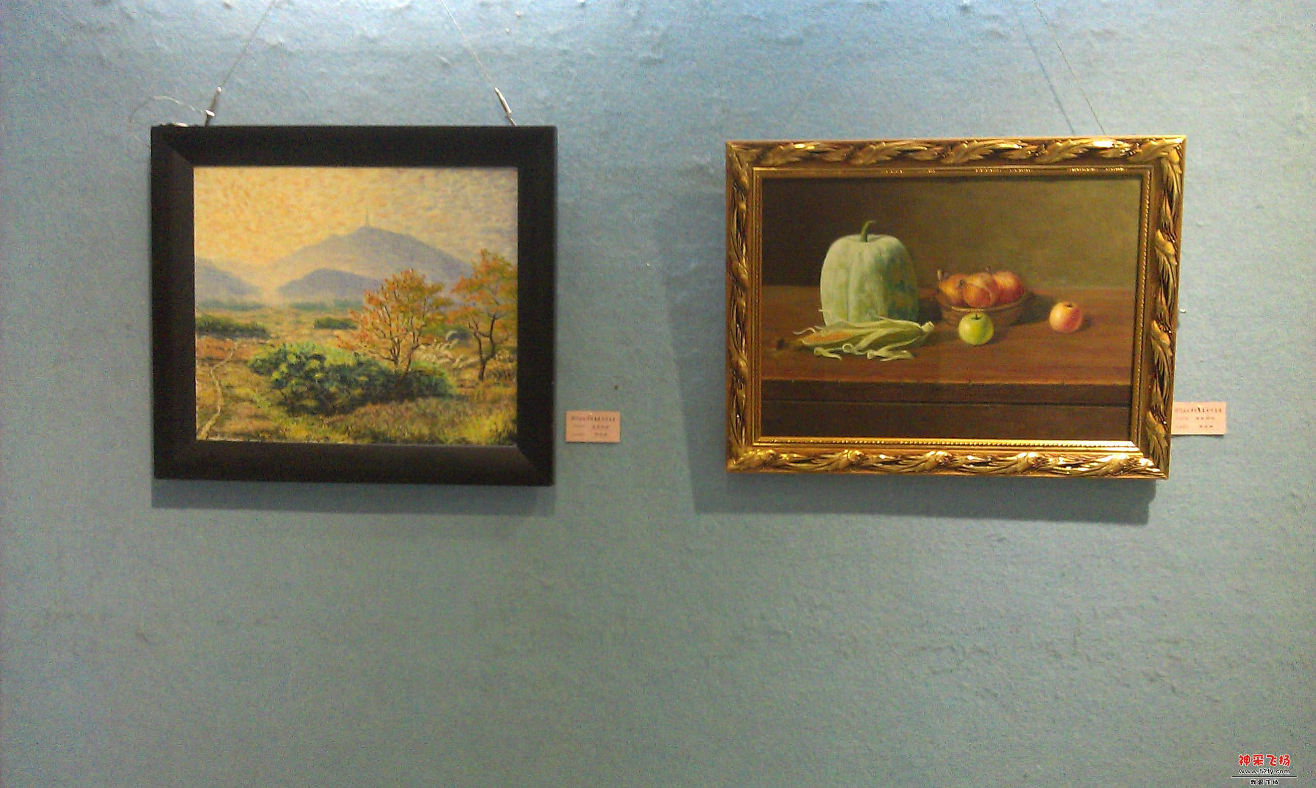 IMAG0164.jpg