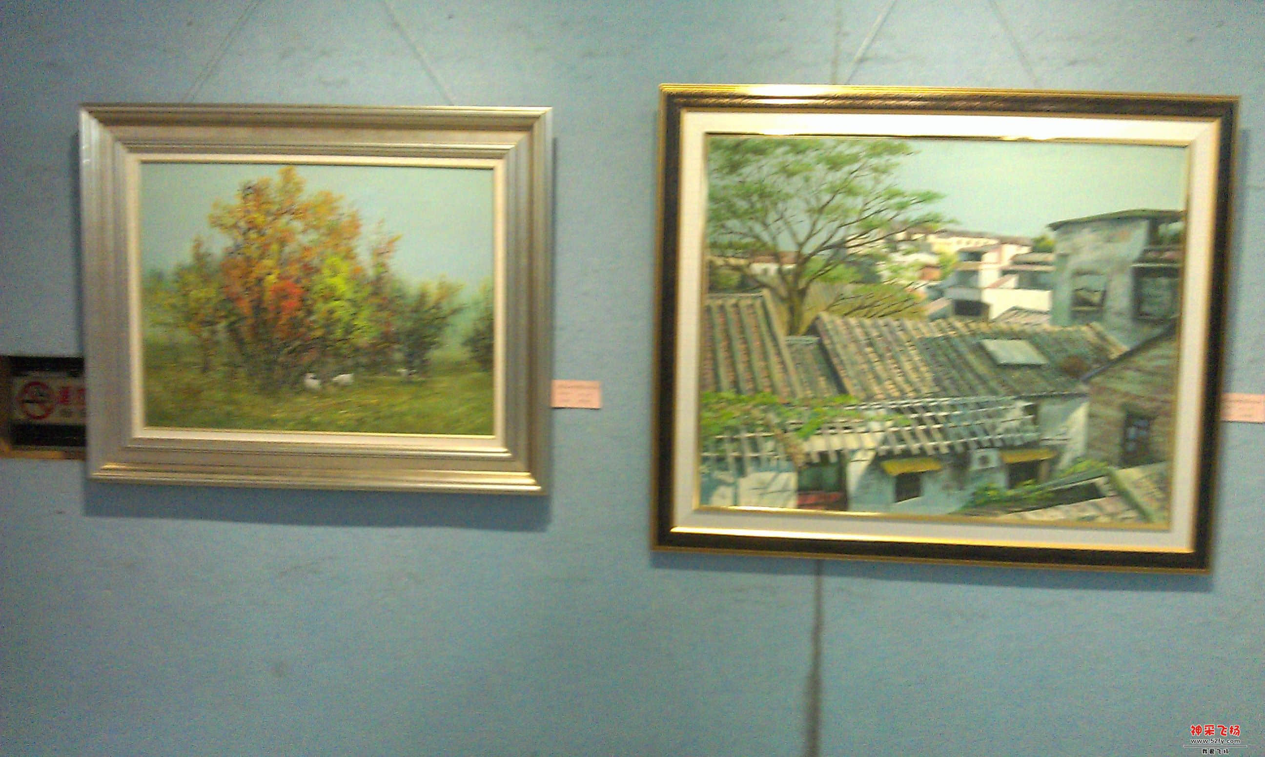 IMAG0165.jpg