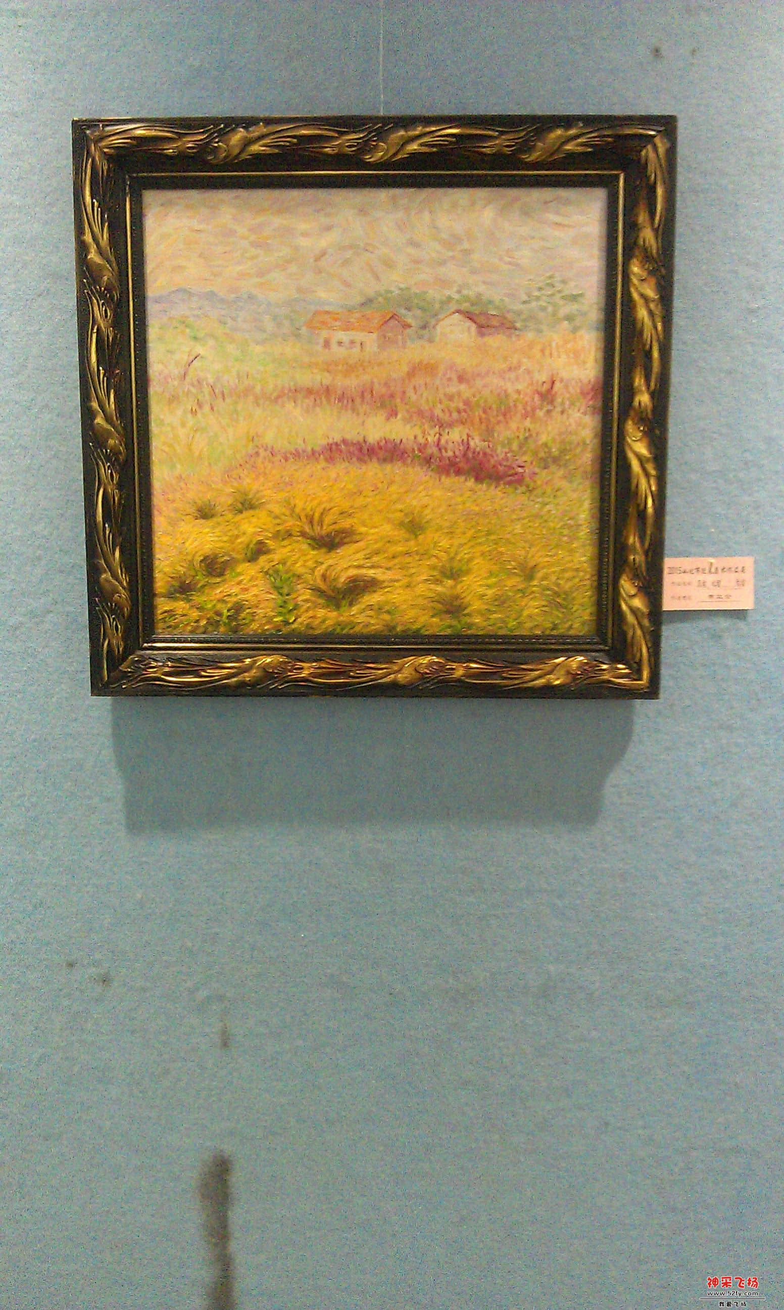 IMAG0171.jpg