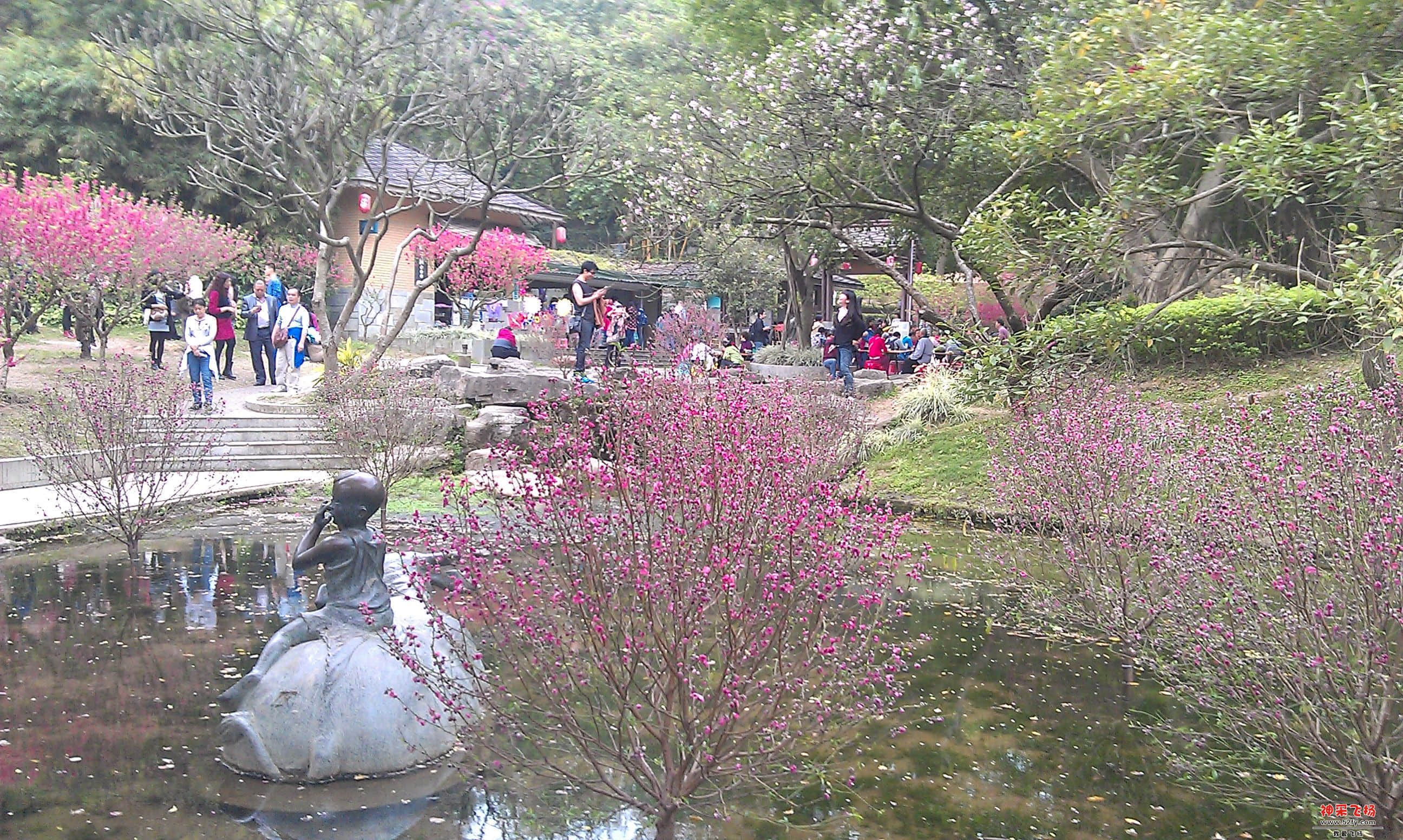 桃花6.jpg