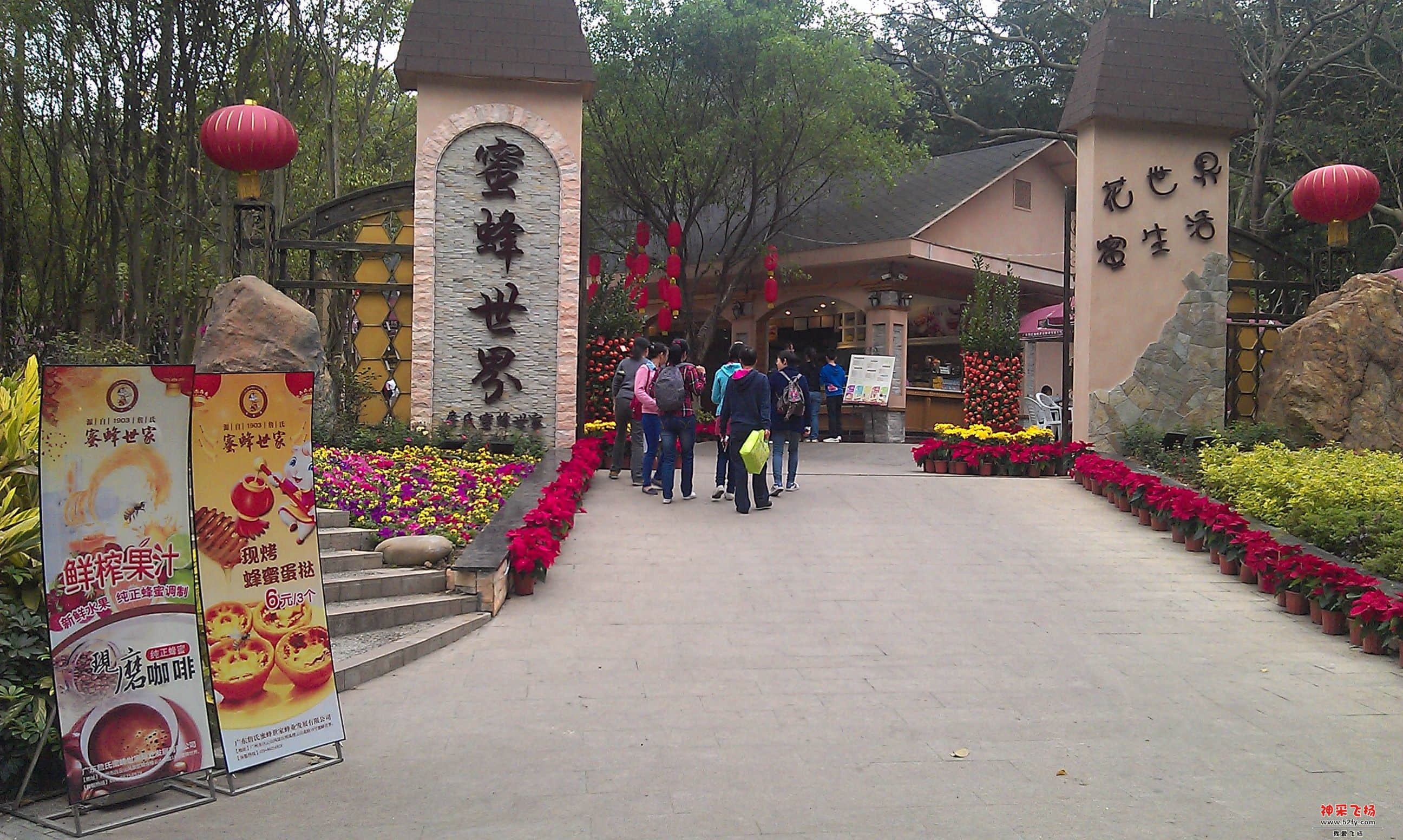 IMAG0215.jpg