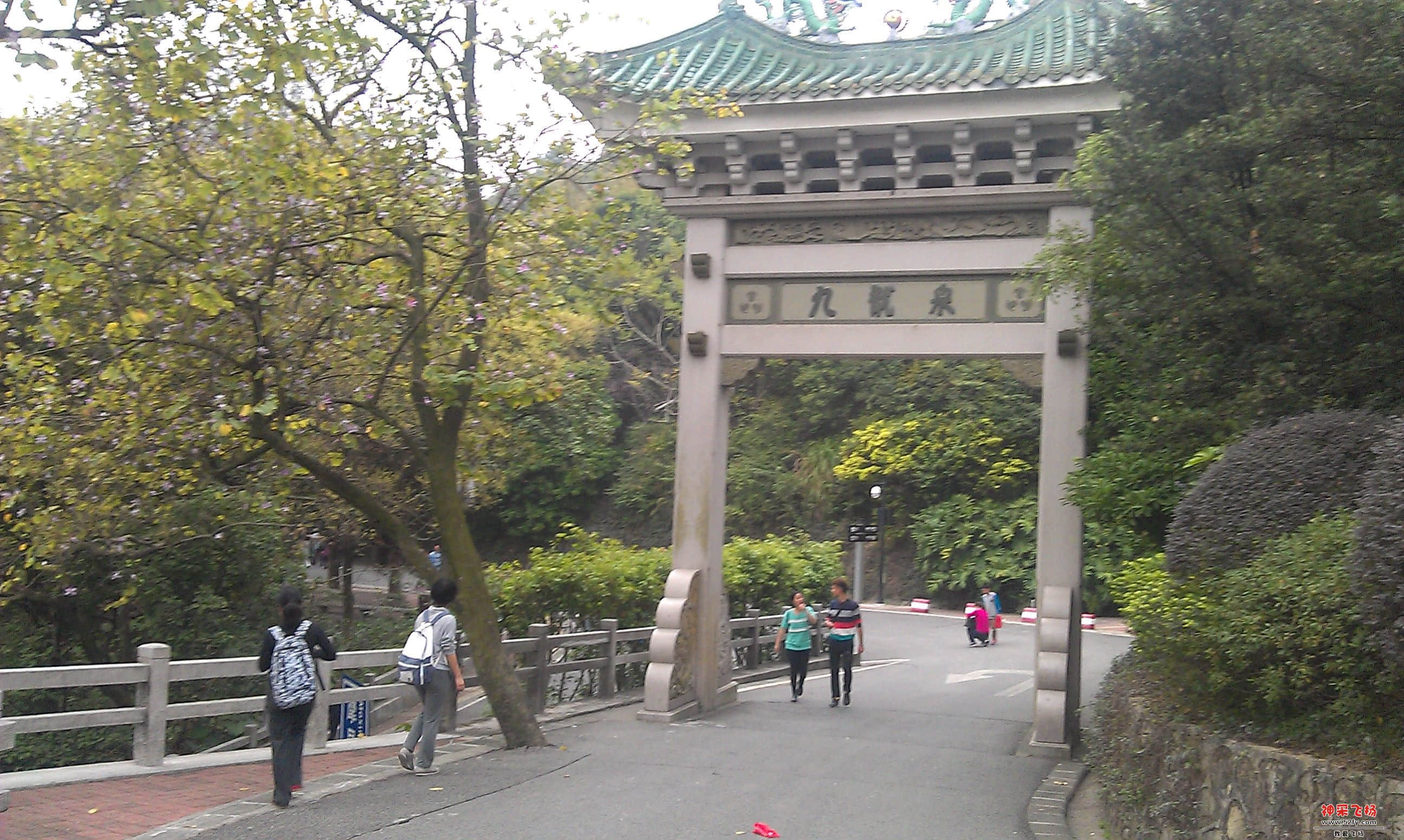 IMAG0019.jpg