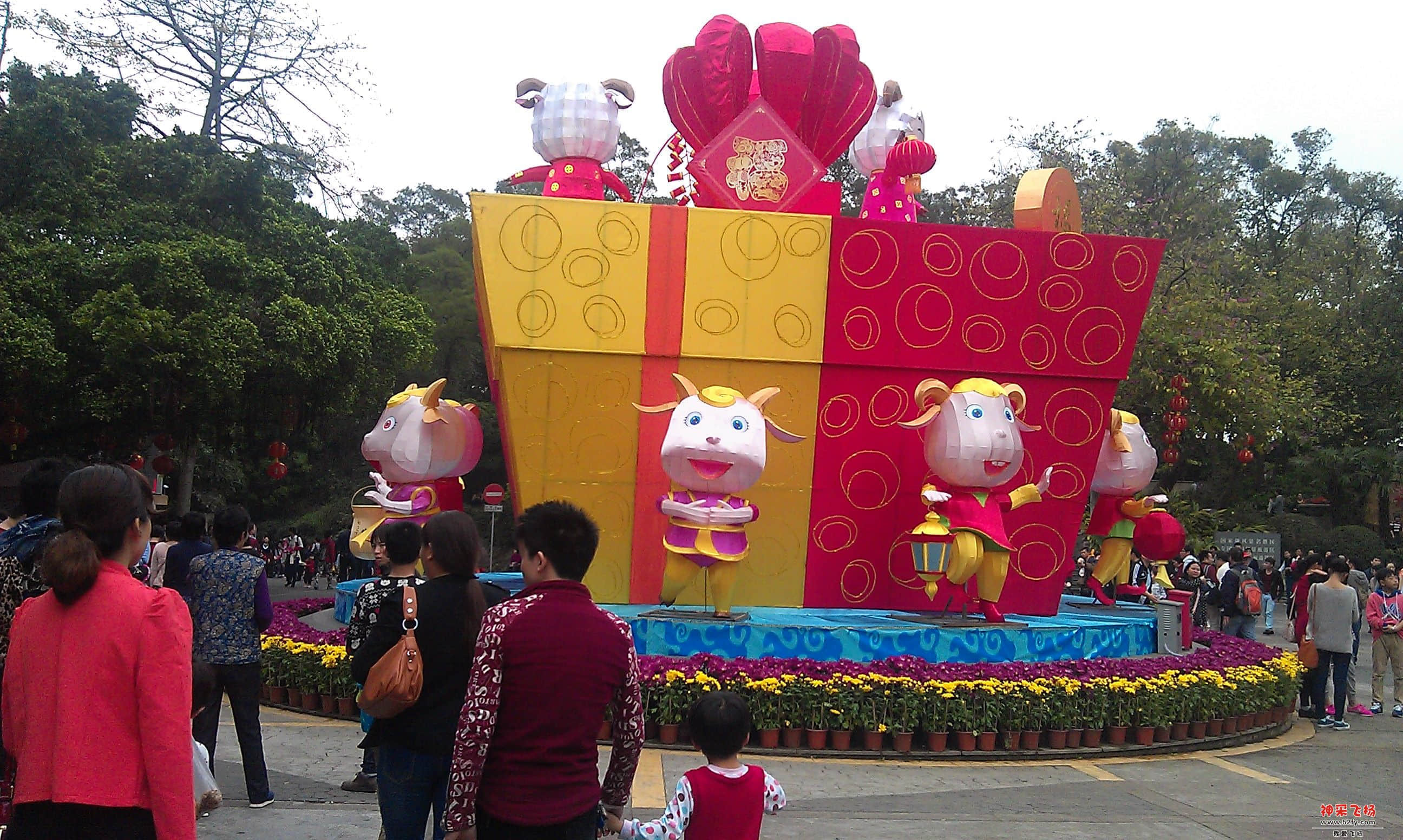 IMAG0025.jpg