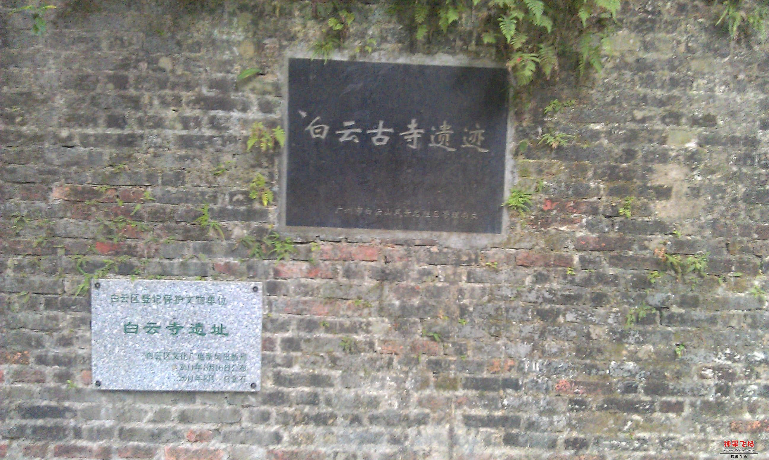 IMAG0003.jpg