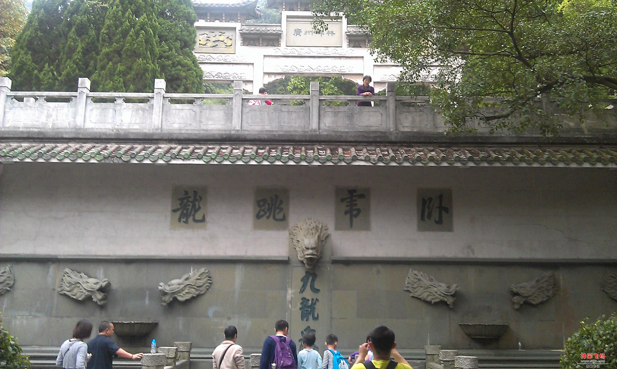 IMAG0007.jpg