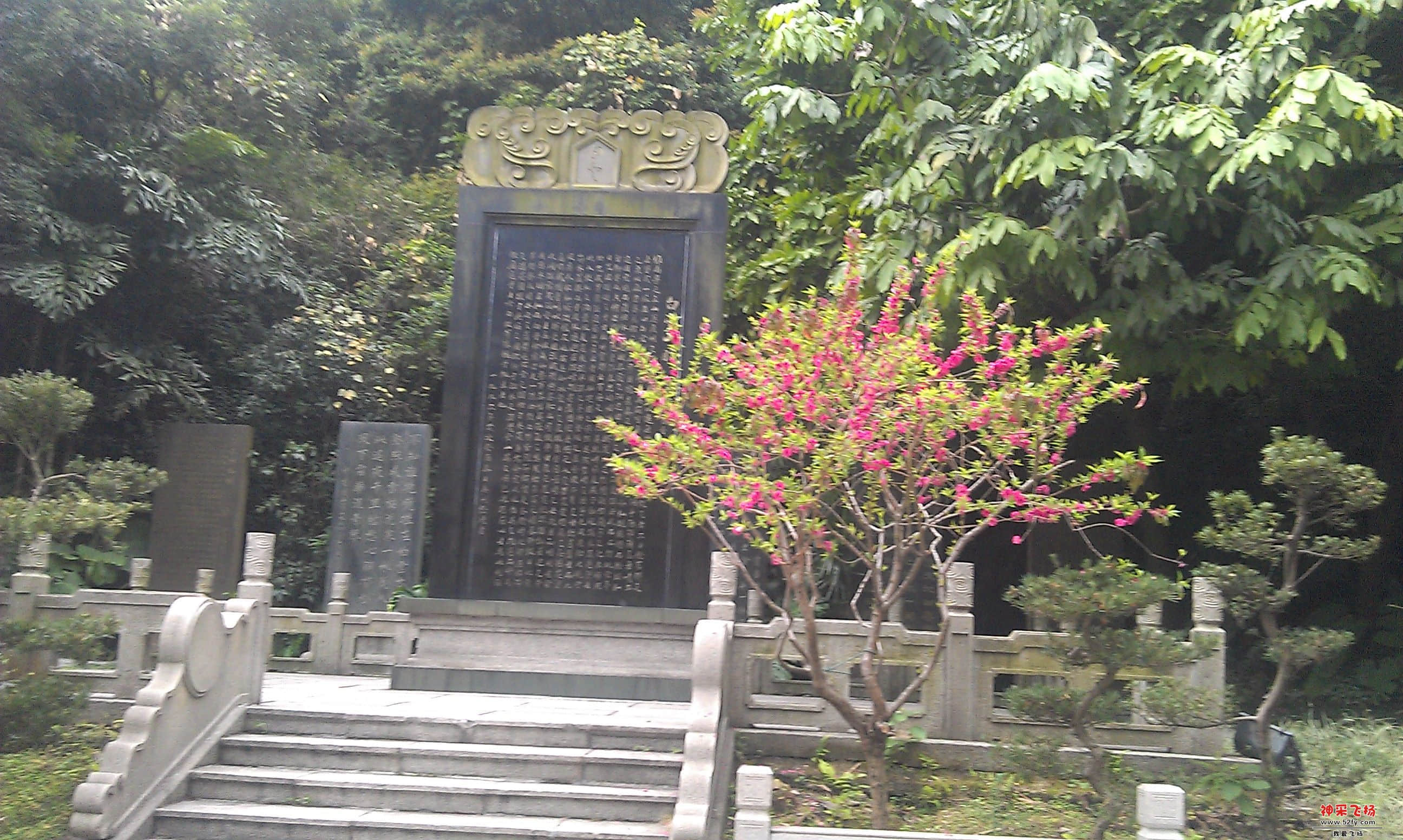 IMAG0010.jpg