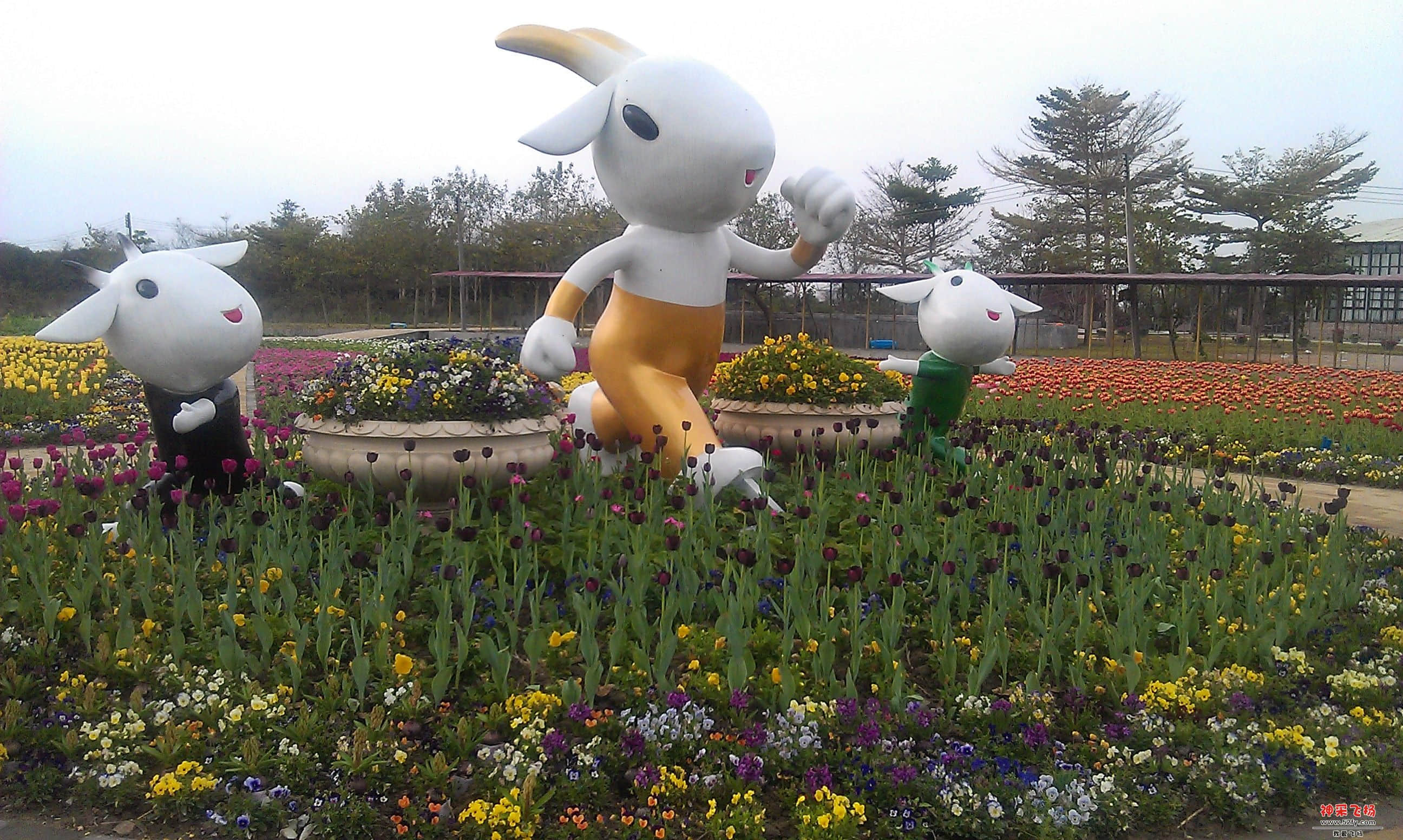 IMAG0052.jpg