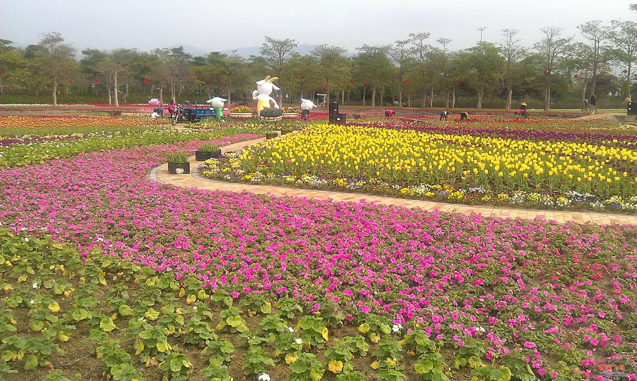 IMAG0069.jpg