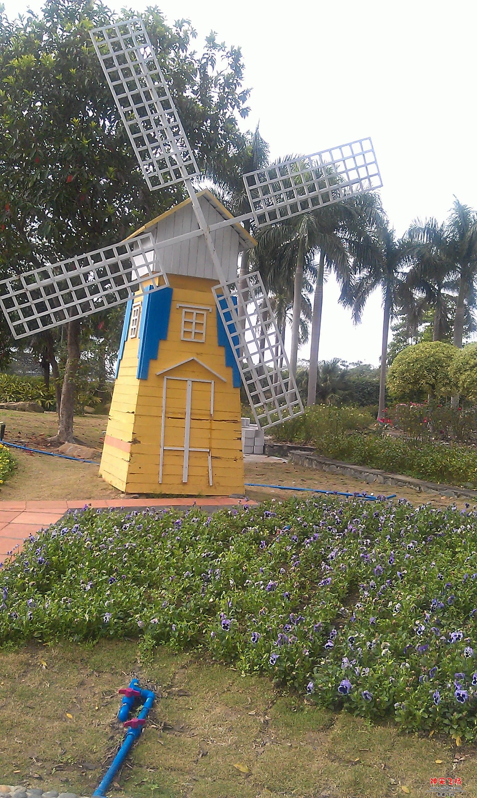 IMAG0071.jpg