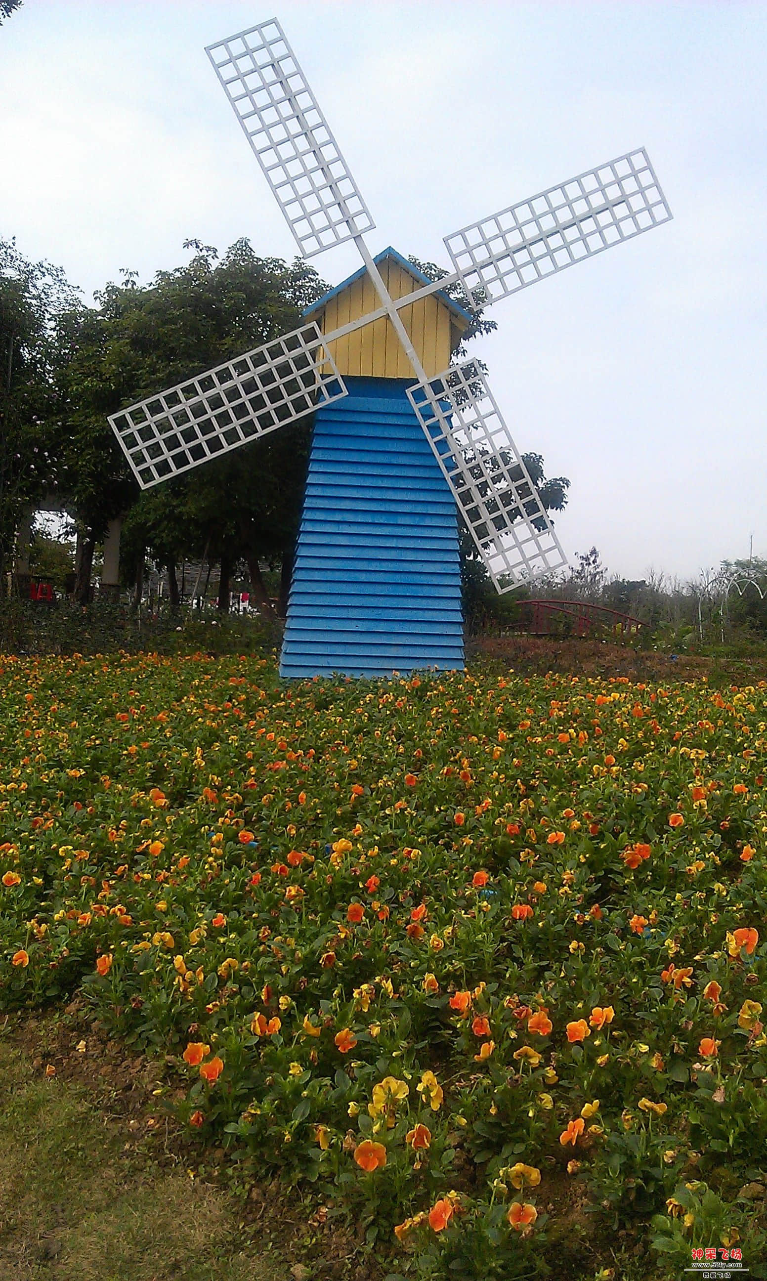 IMAG0072.jpg