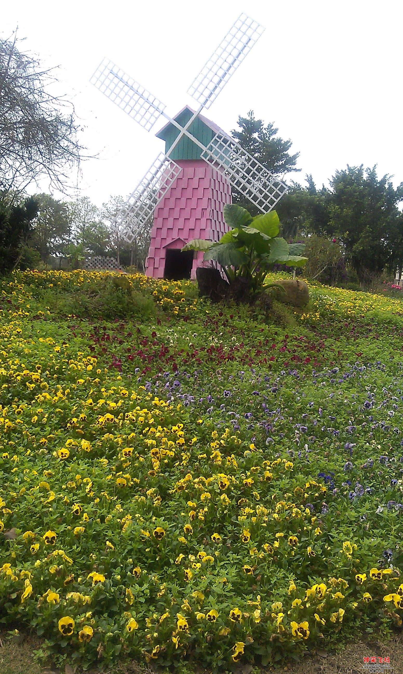 IMAG0076.jpg