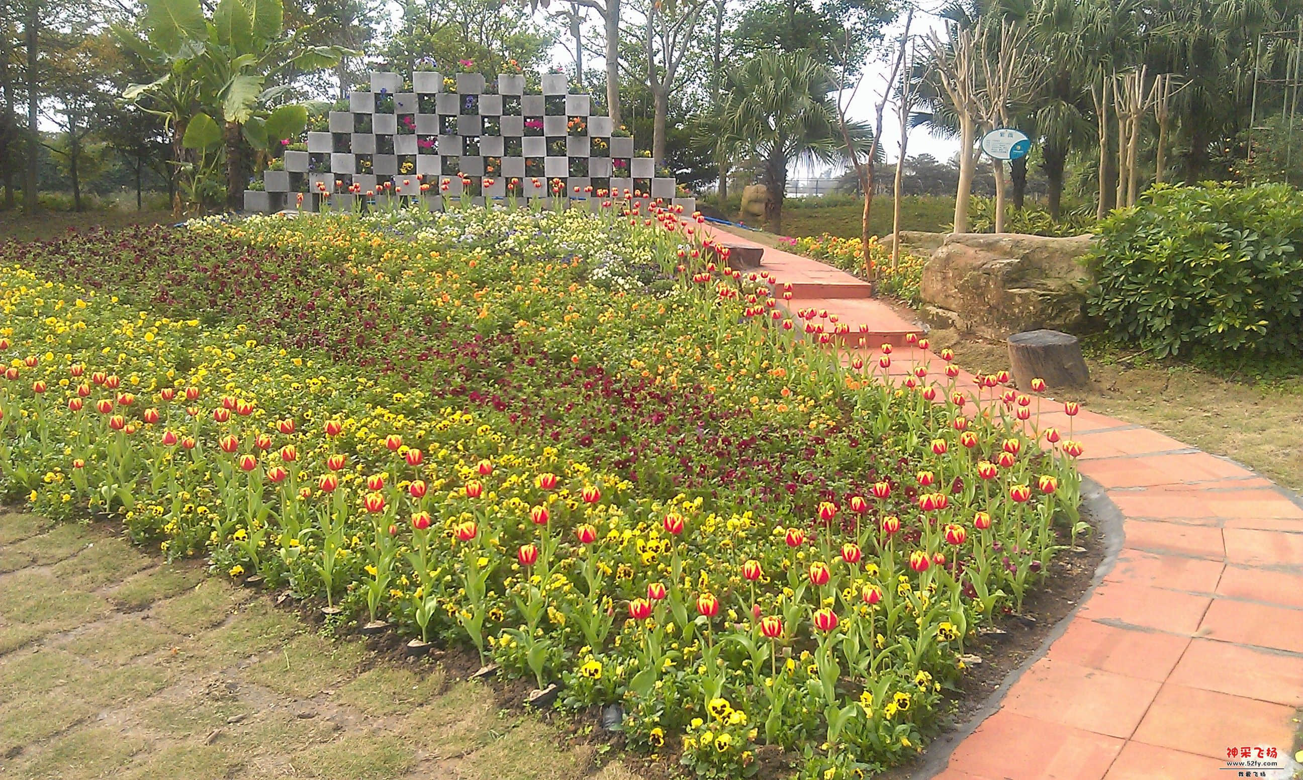 IMAG0084.jpg