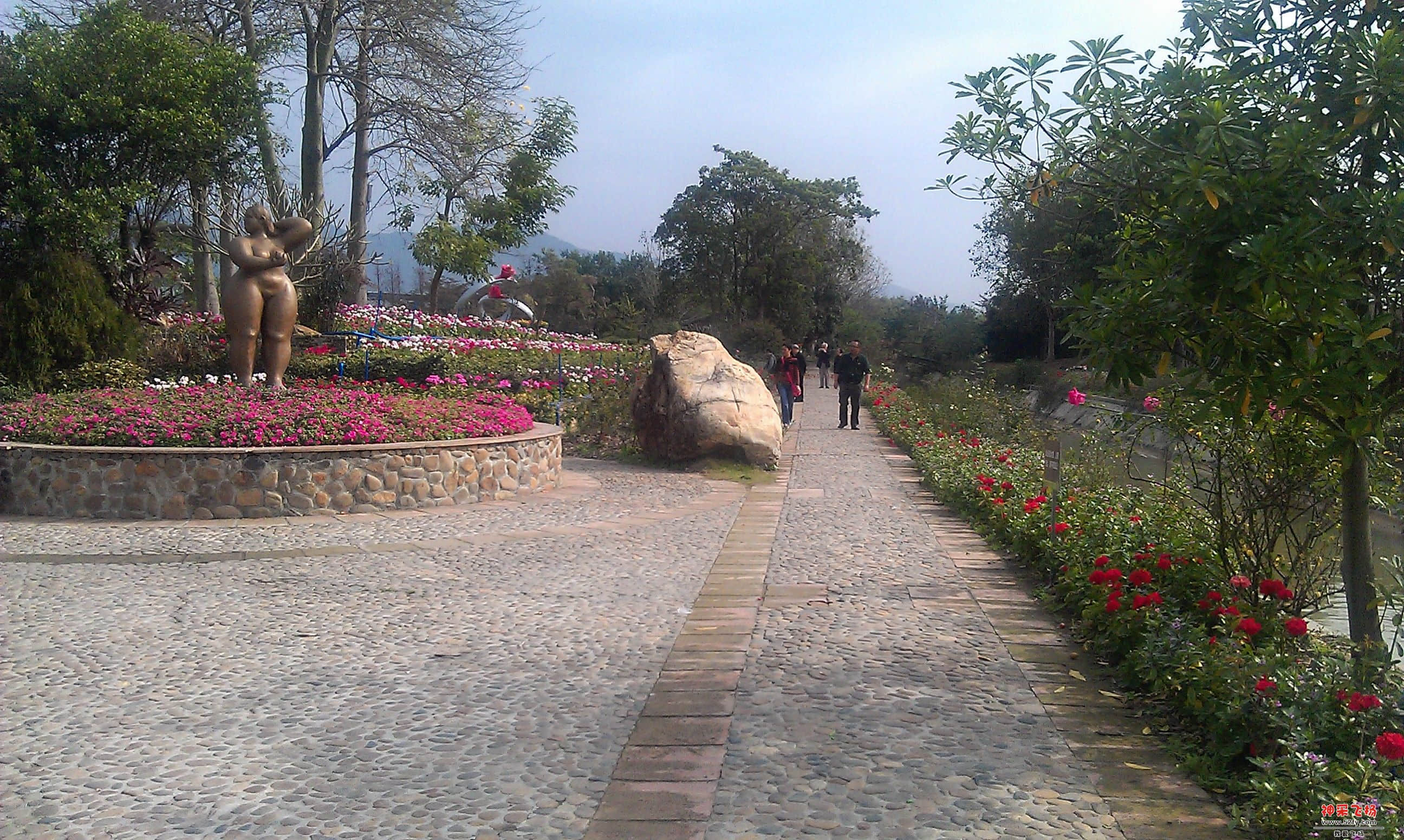 IMAG0087.jpg