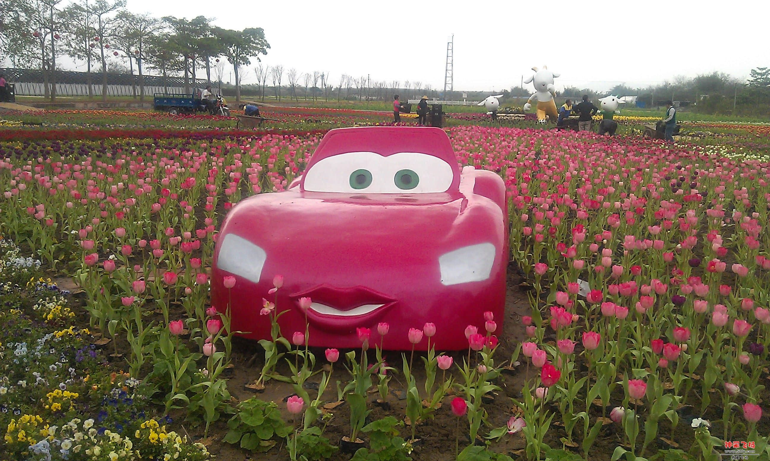 小车2.jpg