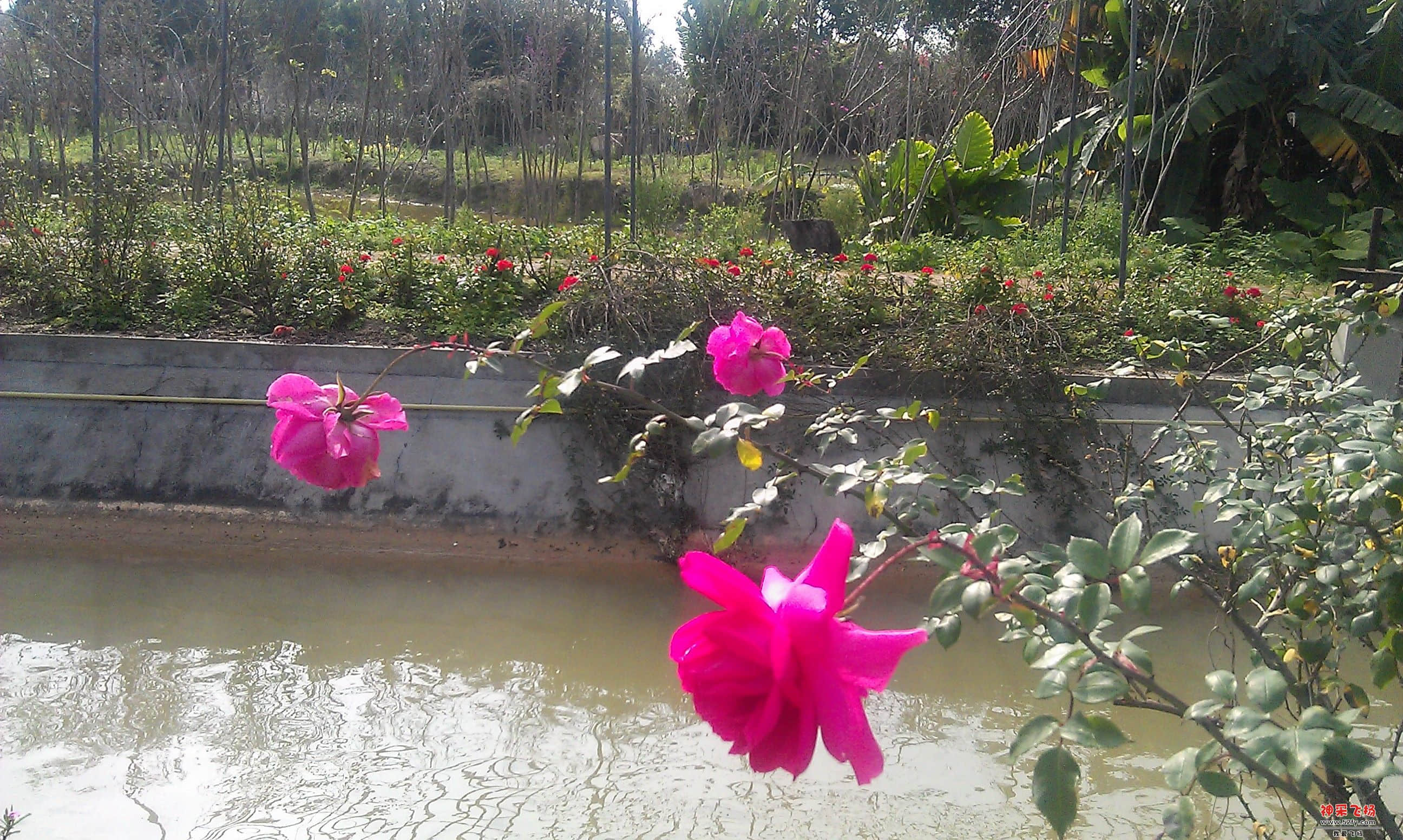 IMAG0092.jpg