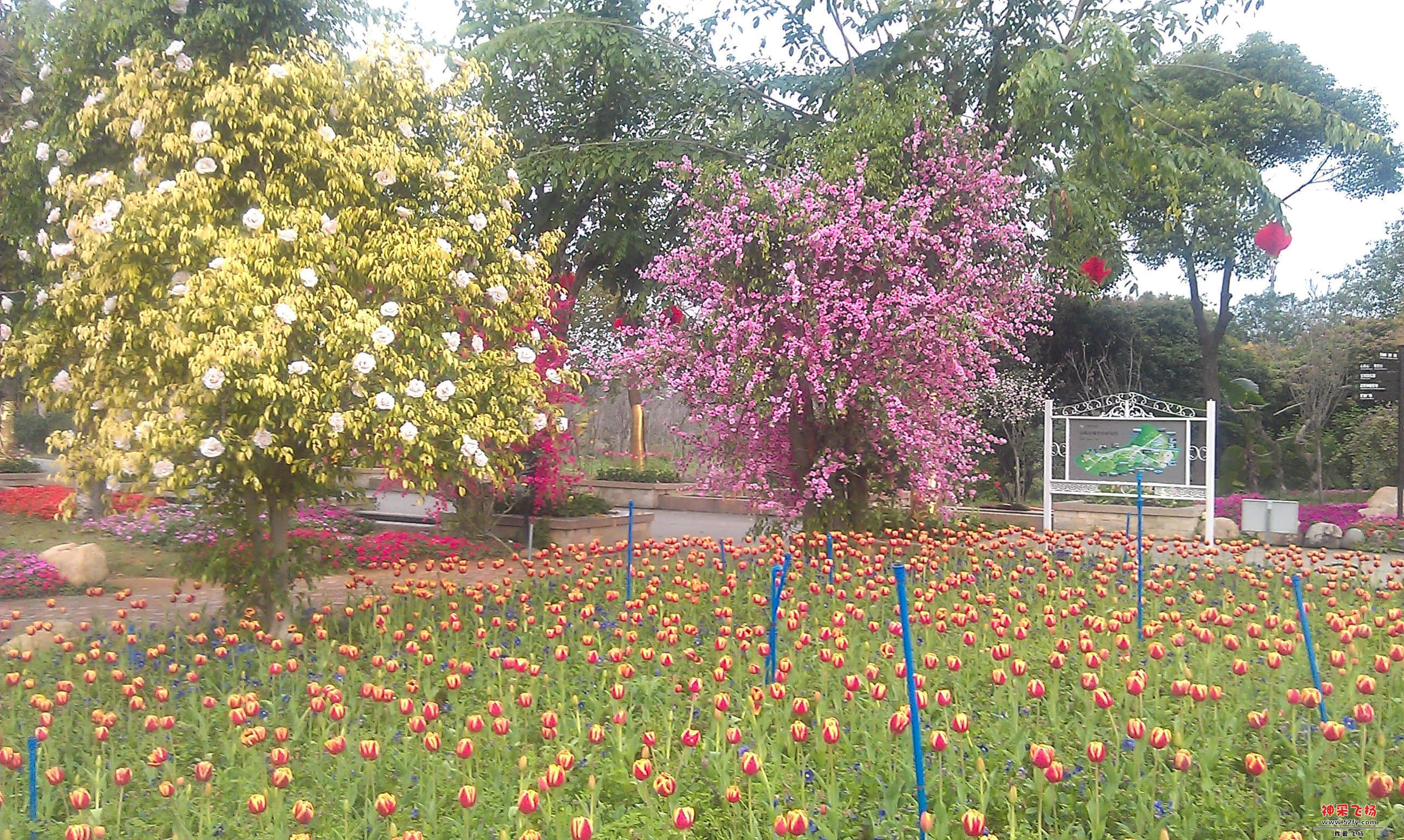IMAG0006.jpg
