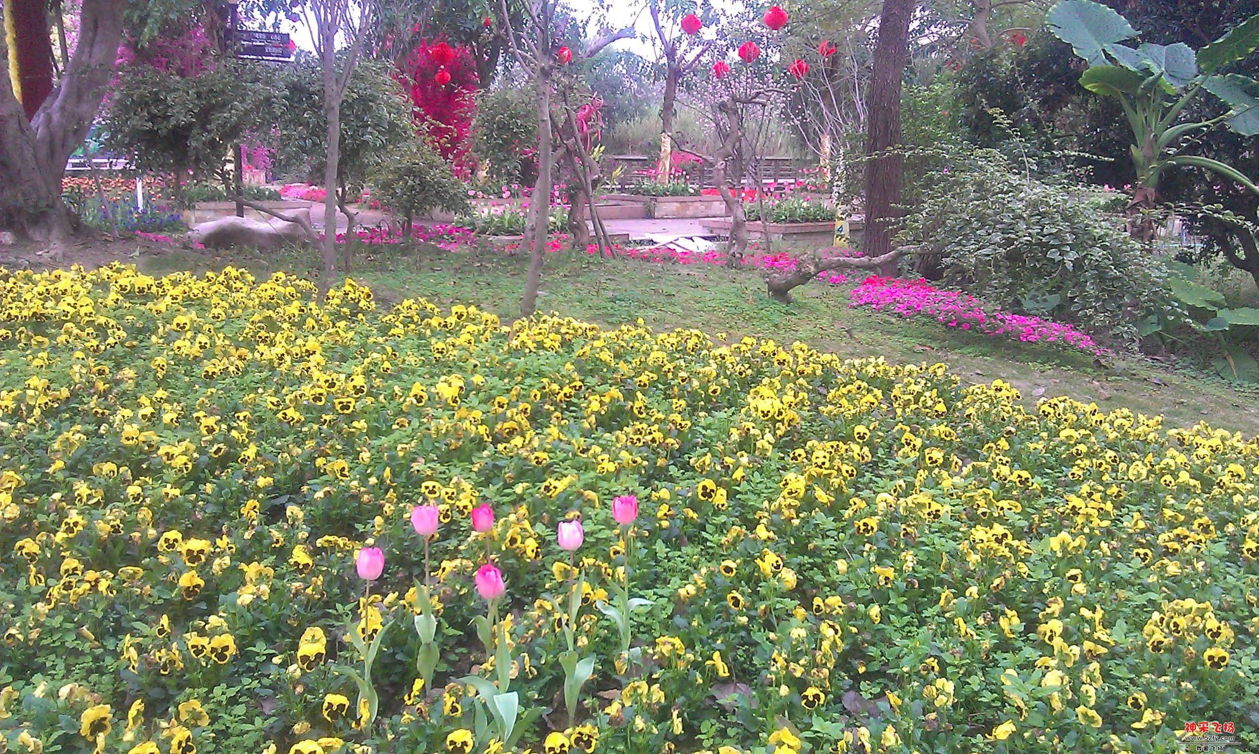 IMAG0021.jpg