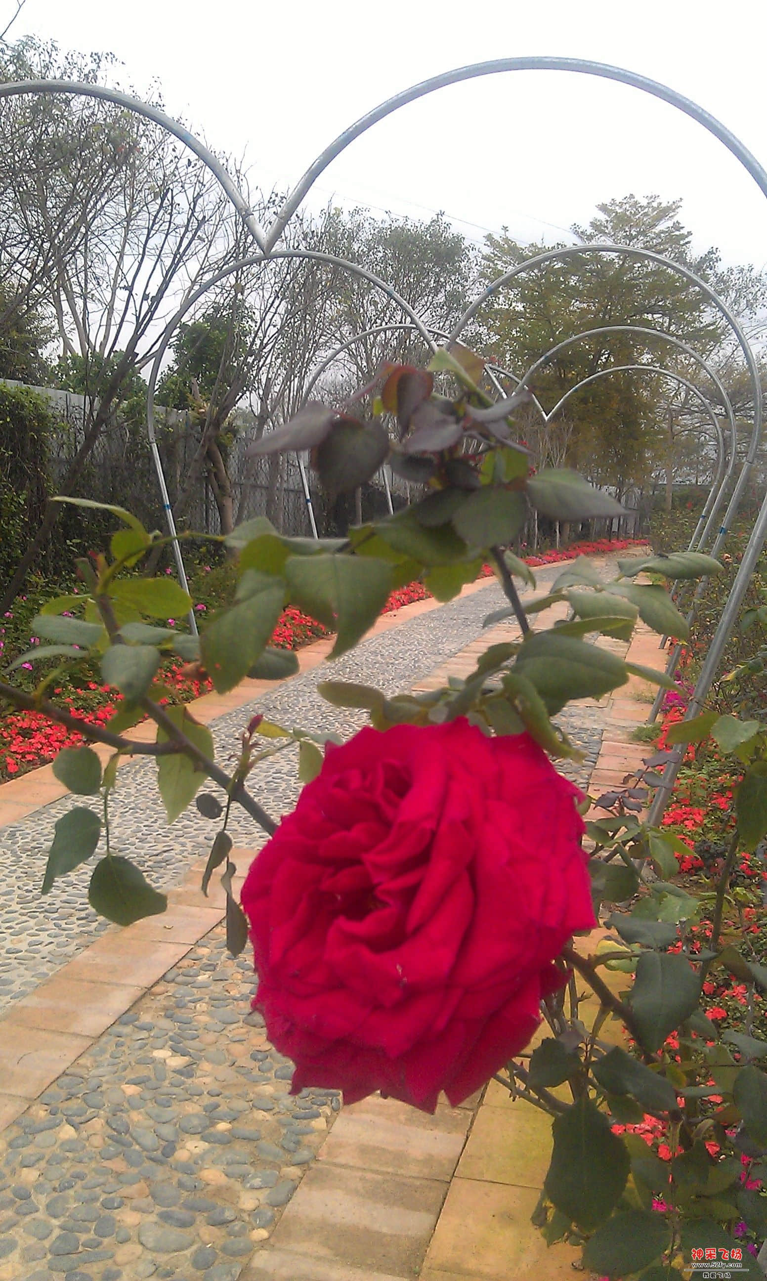 IMAG0042.jpg
