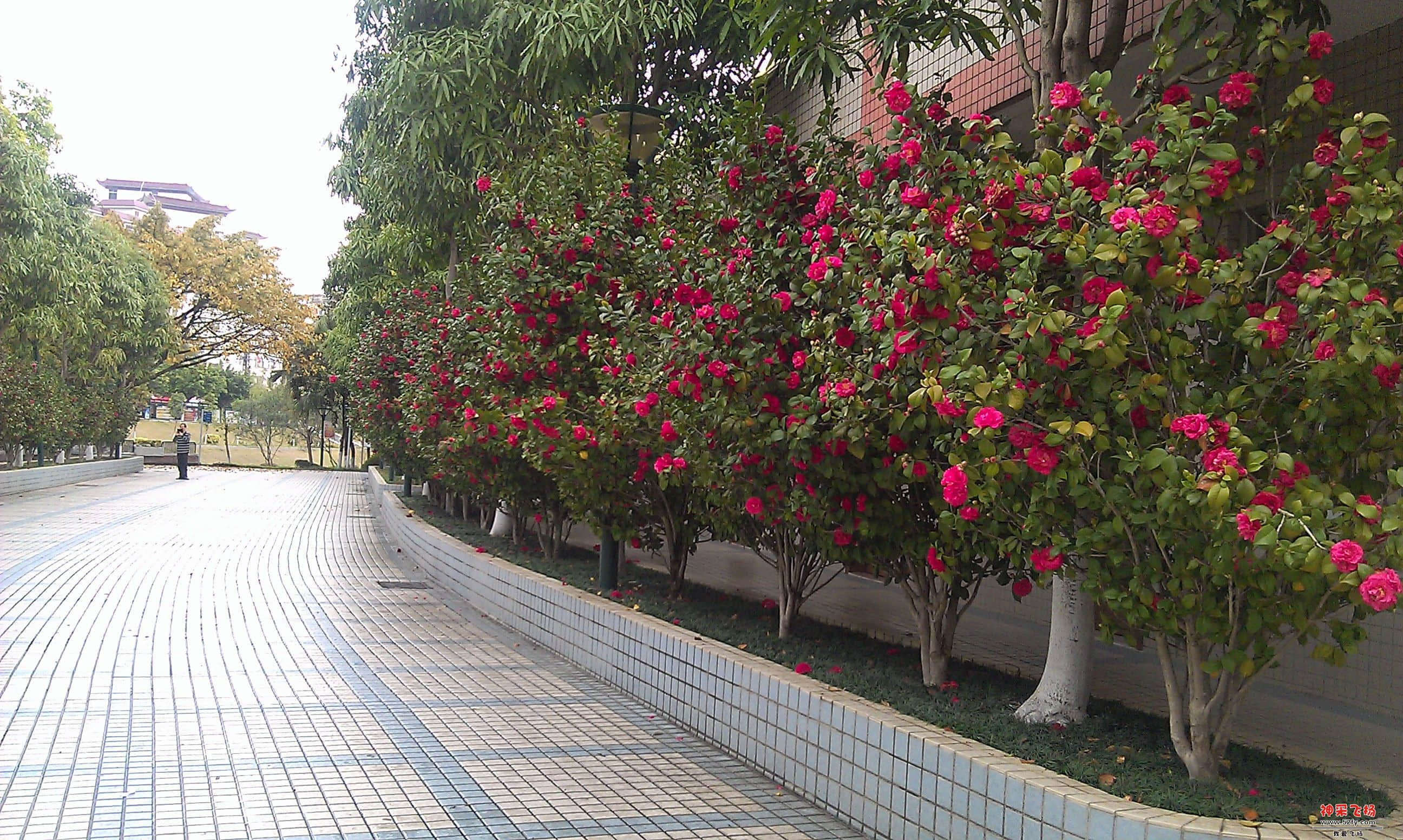 IMAG0003.jpg