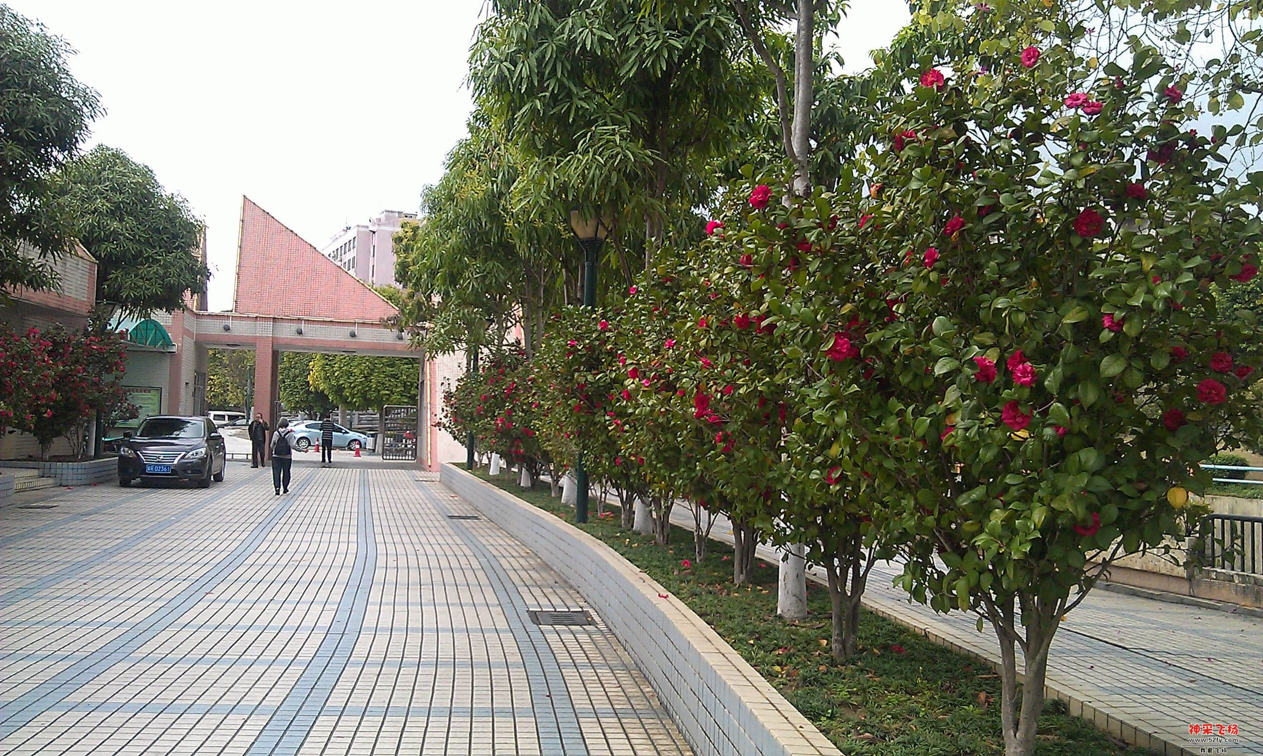 IMAG0005.jpg