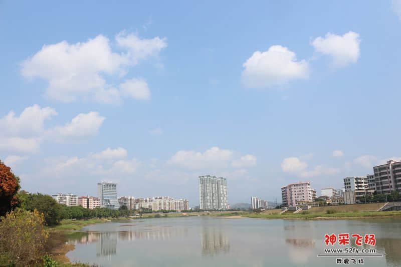 d60000 F10.03.jpg