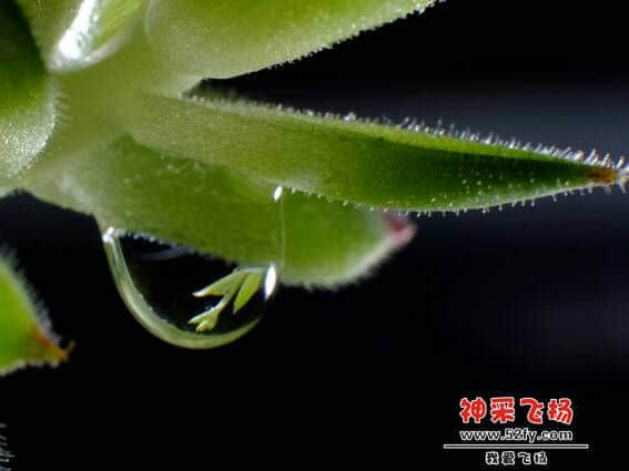 100906hu1s1n13p5tv44pj.jpg