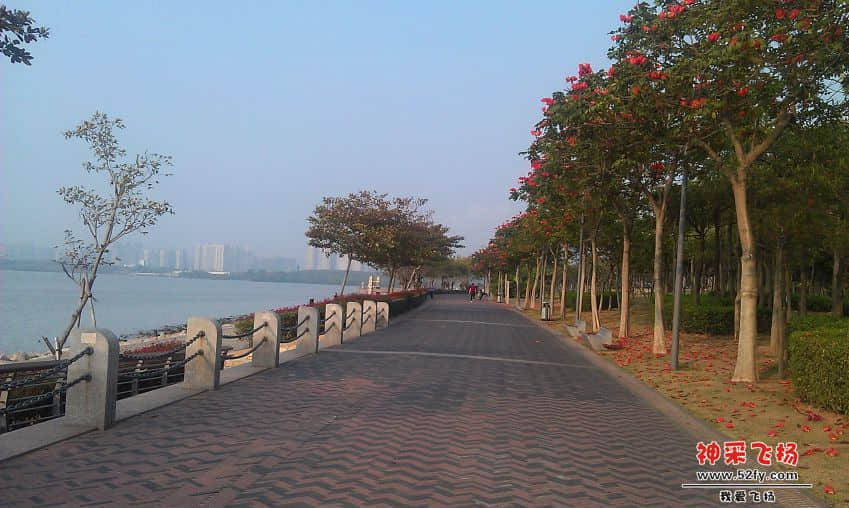 IMAG0010.jpg