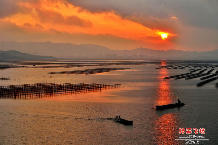 zeng201409020030.jpg