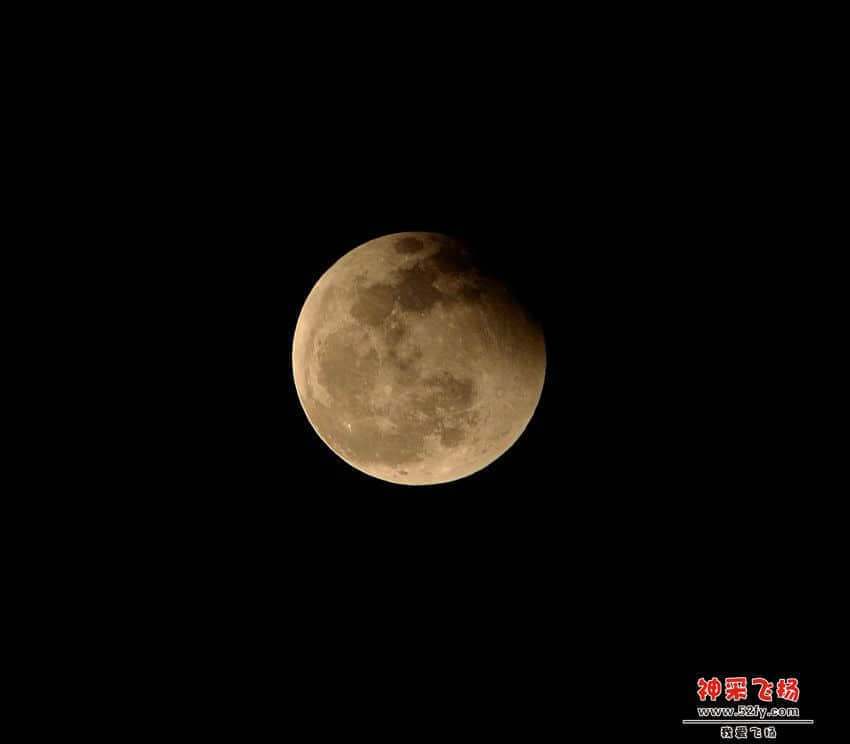 DSC_8325.jpg