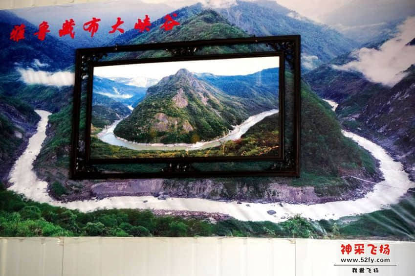 DSC02659_副本.jpg