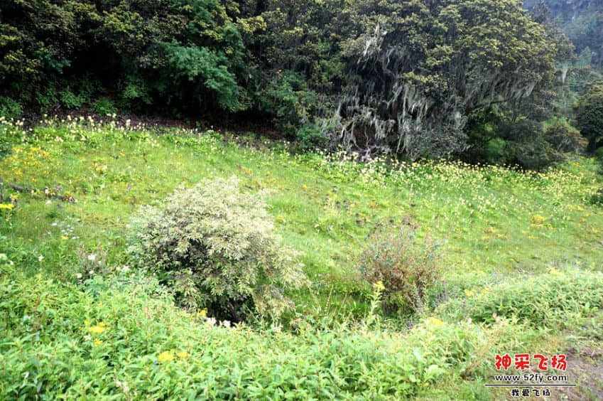 DSC02649_副本.jpg