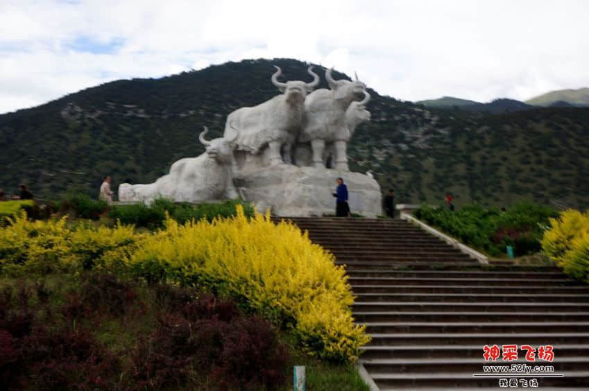DSC02691_副本.jpg