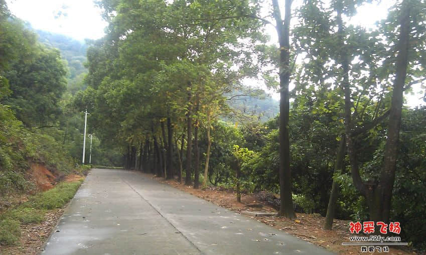 IMAG0028.jpg