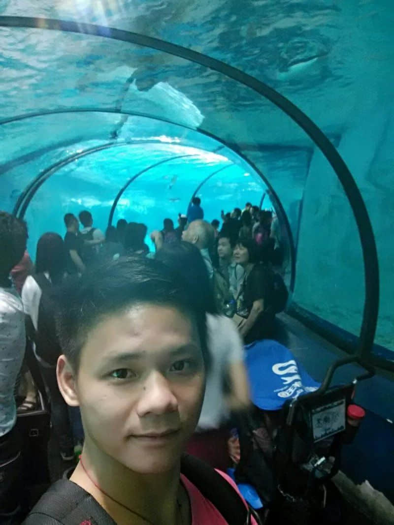水底世界真系好靓