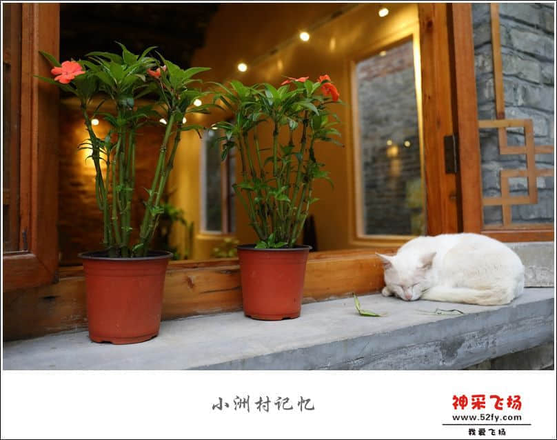 IMG_6435_副本_副本.jpg
