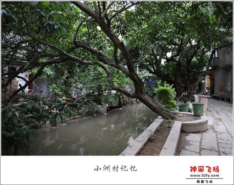 IMG_6440_副本.jpg