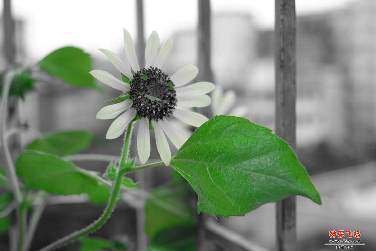 062922kbyte31ho7znztnh.JPG
