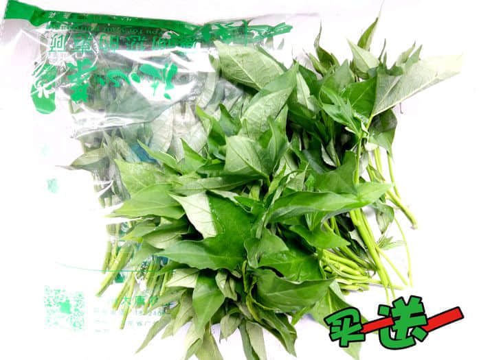 番薯叶副本.jpg