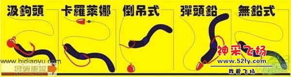 软虫2.jpg