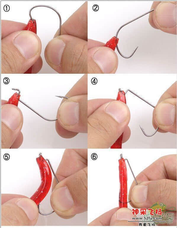 软虫1.jpg